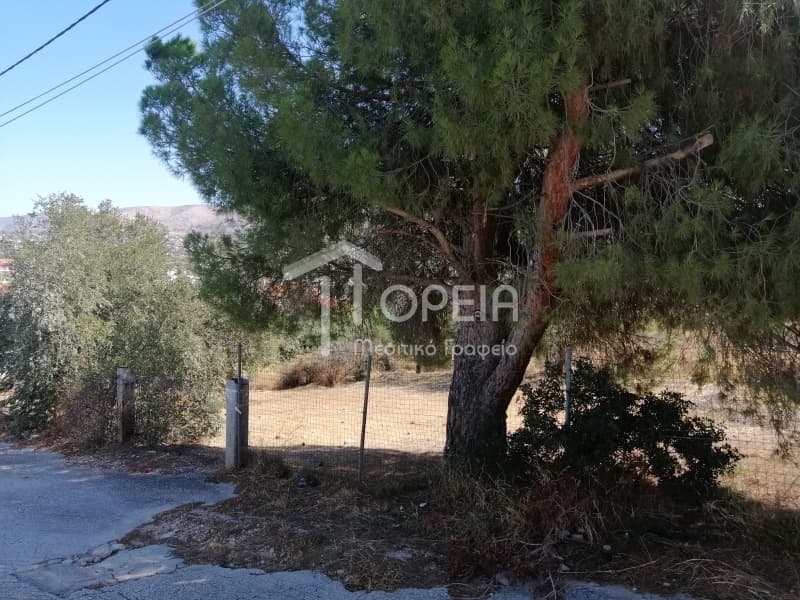 Οικόπεδο στην Καλύβια, Καλύβια Θορικού — Φωτογραφία 4 από 9