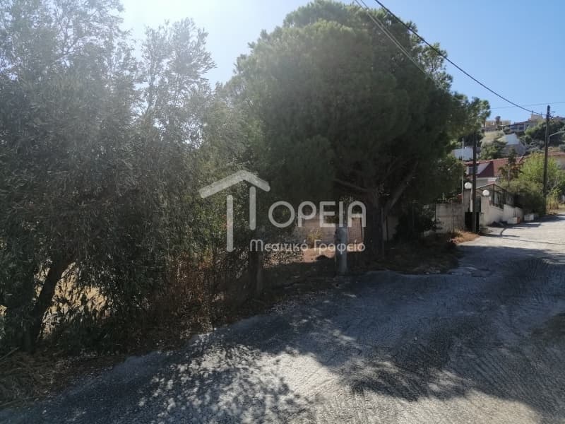 Οικόπεδο στην Καλύβια, Καλύβια Θορικού — Φωτογραφία 6 από 9