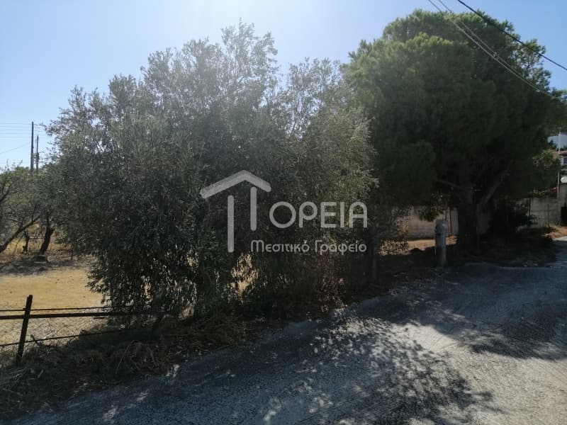 Οικόπεδο στην Καλύβια, Καλύβια Θορικού — Φωτογραφία 9 από 9