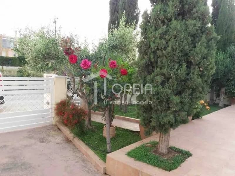 House in Κέντρο, Kalivia Thorikou — Photo 22 of 24