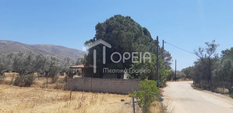 House in Kefleika, Kalivia Thorikou — Photo 3 of 8