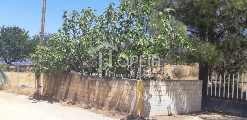 House in Kefleika, Kalivia Thorikou — Photo 7 of 8