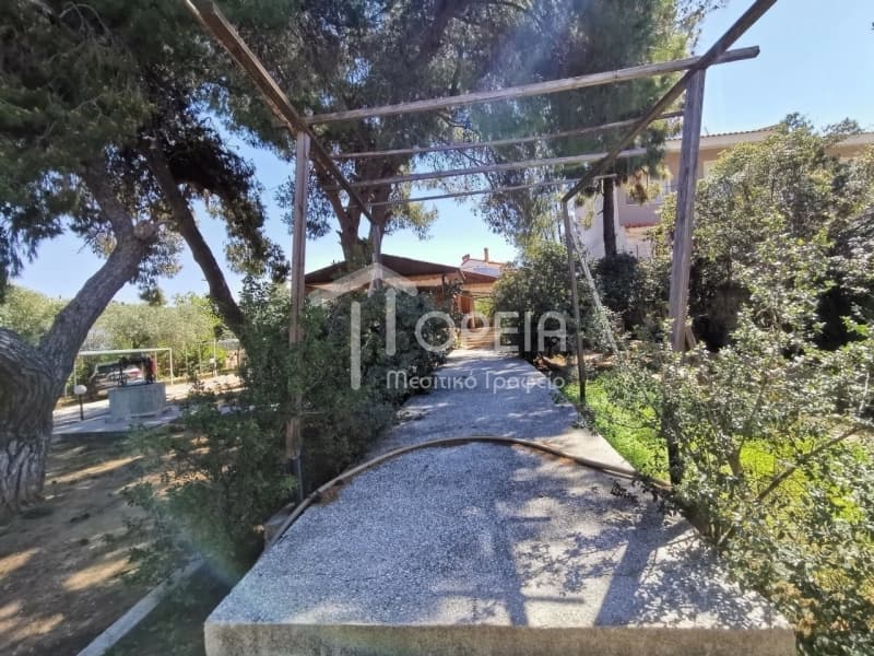 Μονοκατοικία στην Αγία Μαρίνα, Κορωπί — Φωτογραφία 11 από 21
