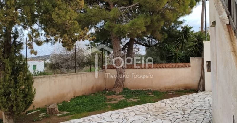 Μονοκατοικία στην Αγία Μαρίνα, Κορωπί — Φωτογραφία 5 από 23