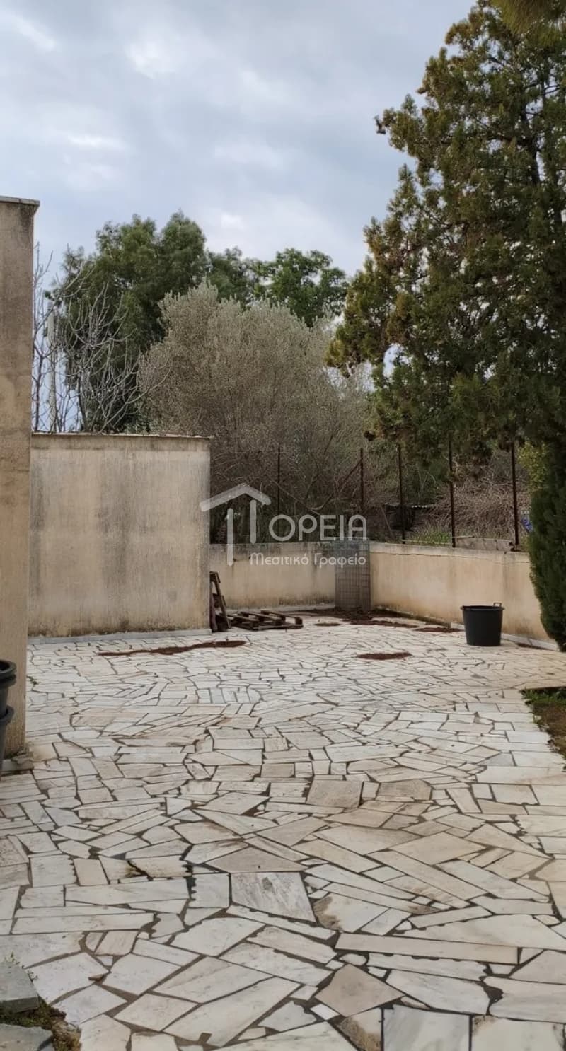 Μονοκατοικία στην Αγία Μαρίνα, Κορωπί — Φωτογραφία 22 από 23