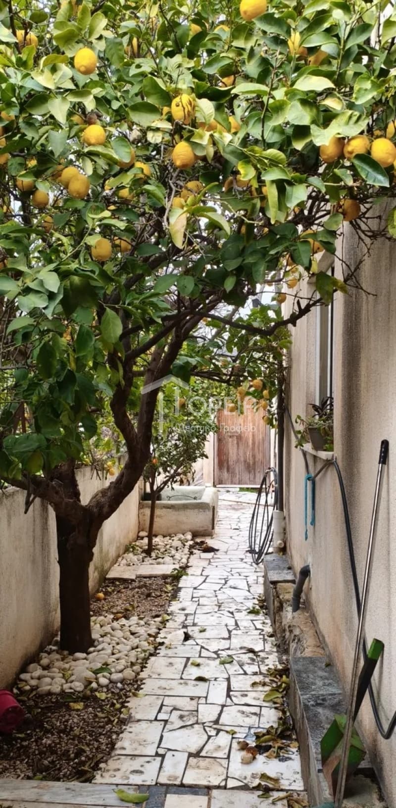 Μονοκατοικία στην Αγία Μαρίνα, Κορωπί — Φωτογραφία 10 από 23