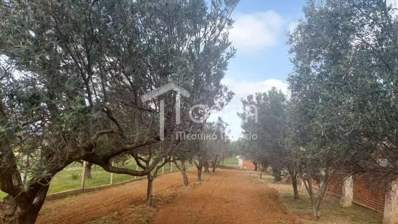 Μονοκατοικία στην Καλύβια, Καλύβια Θορικού — Φωτογραφία 25 από 25