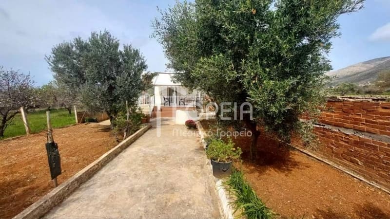 Μονοκατοικία στην Καλύβια, Καλύβια Θορικού — Φωτογραφία 24 από 25