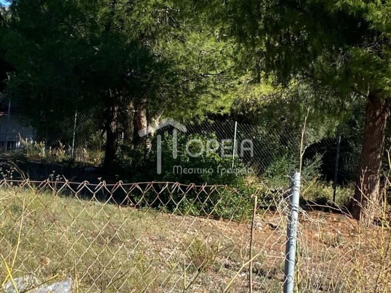 Οικόπεδο στην Γαλάζια ακτή, Καλύβια Θορικού — Φωτογραφία 5 από 5
