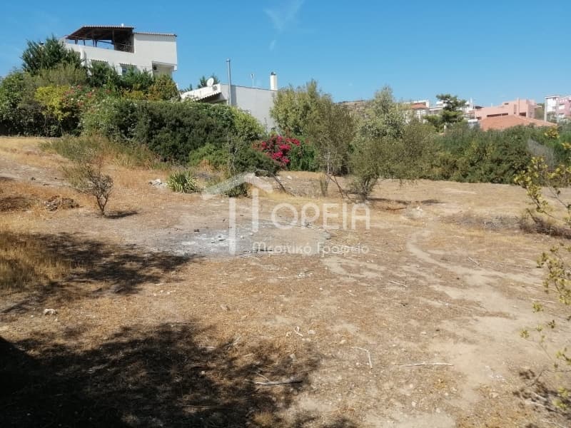 Οικόπεδο στην Καλύβια, Καλύβια Θορικού — Φωτογραφία 6 από 7