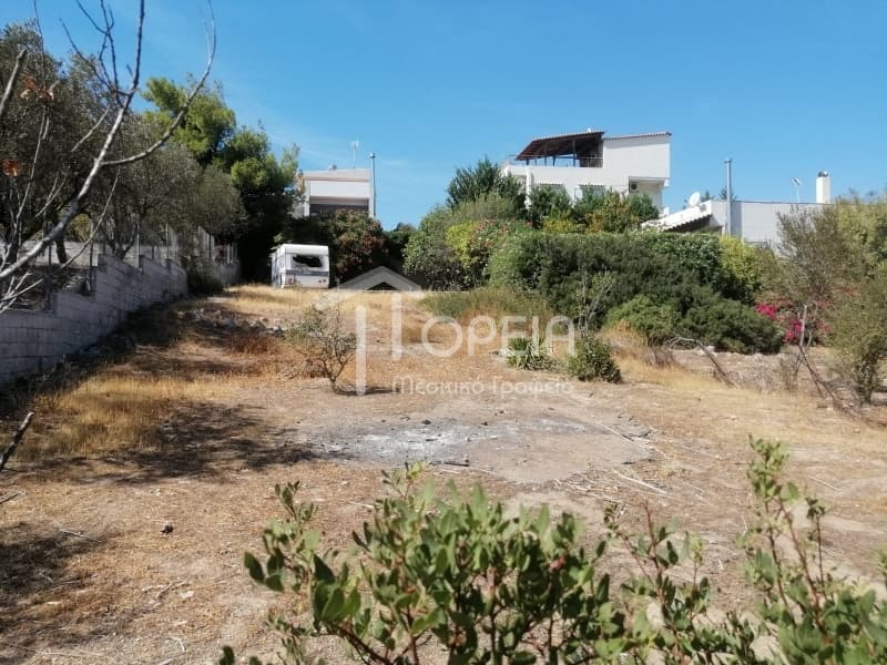 Οικόπεδο στην Καλύβια, Καλύβια Θορικού — Φωτογραφία 4 από 7