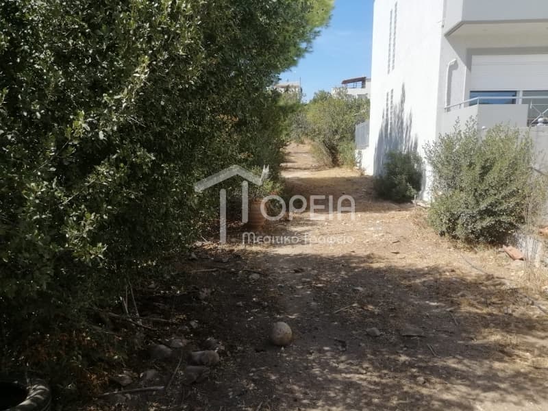 Οικόπεδο στην Καλύβια, Καλύβια Θορικού — Φωτογραφία 3 από 7