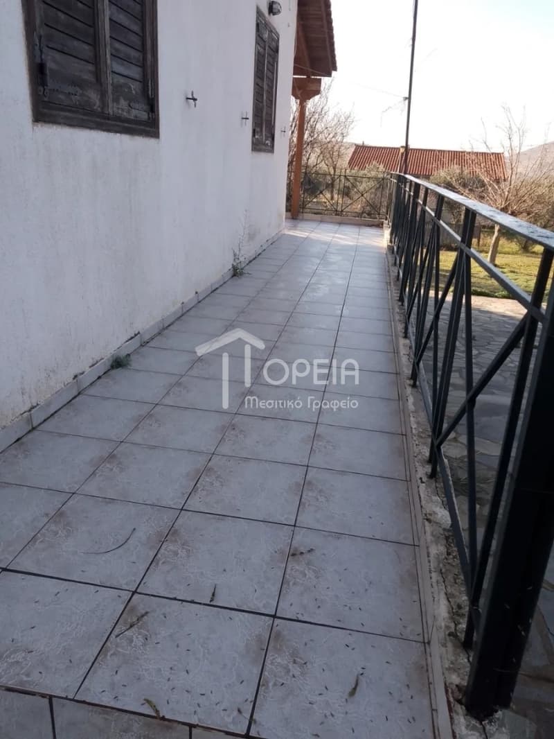 House in Kalivia, Kalivia Thorikou — Photo 11 of 14
