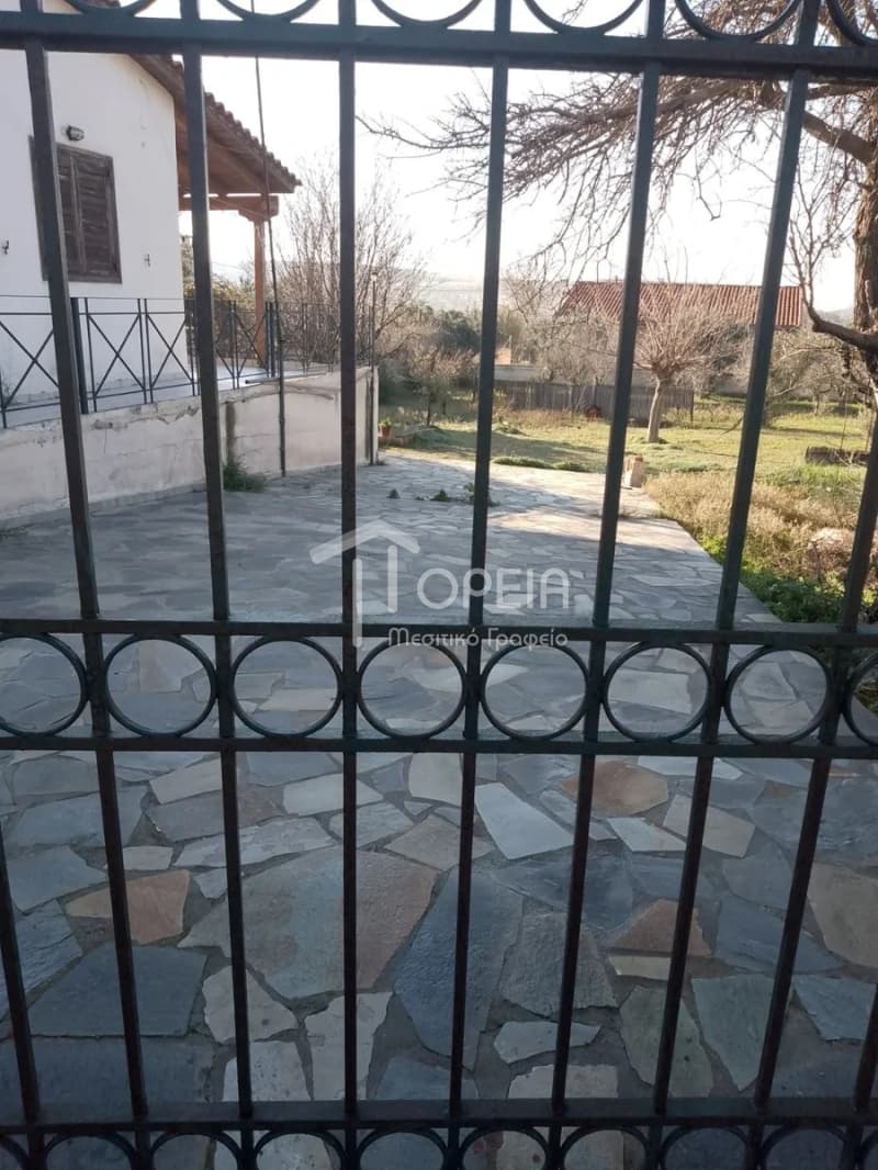 House in Kalivia, Kalivia Thorikou — Photo 14 of 14