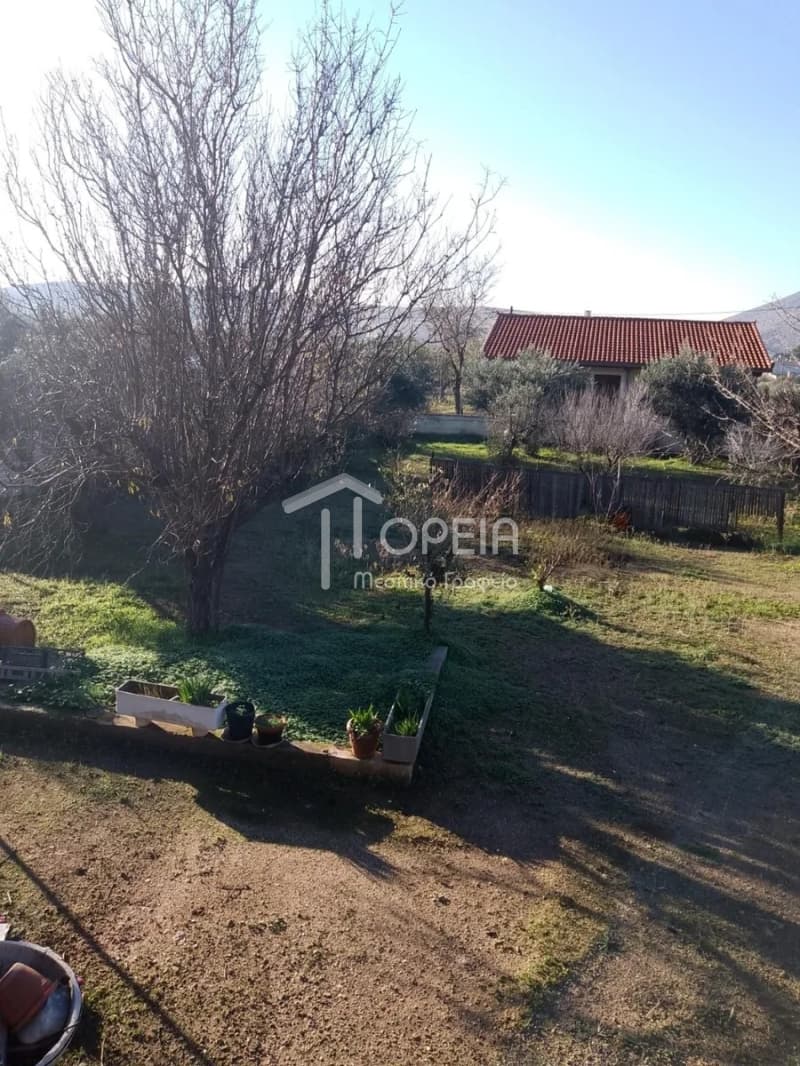 House in Kalivia, Kalivia Thorikou — Photo 1 of 14