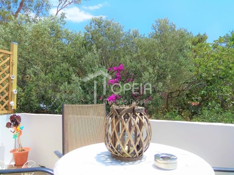 Apartment in Feriza, Anavissos — Photo 11 of 11