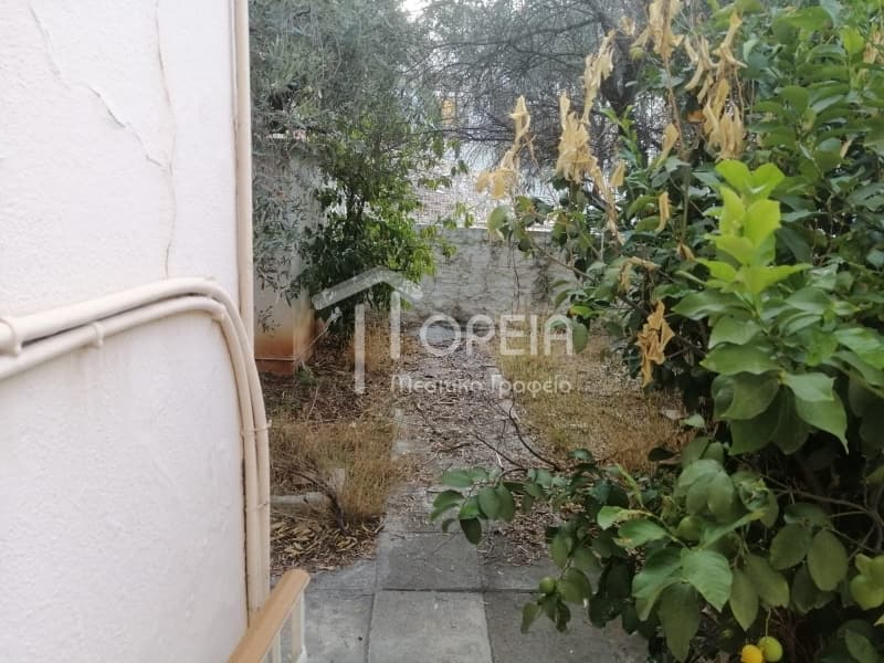 Μονοκατοικία στην Αγιά Μαρίνα, Ηλιούπολη — Φωτογραφία 26 από 30
