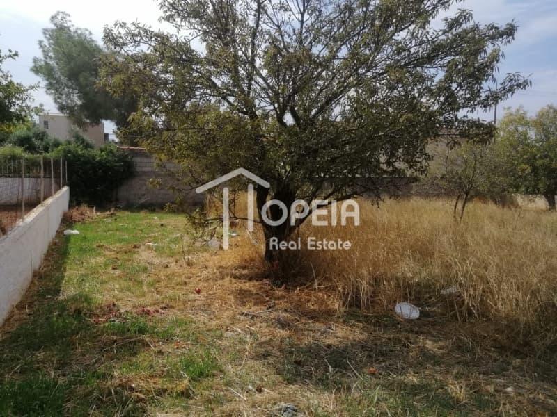 Οικόπεδο στην Καλύβια, Καλύβια Θορικού — Φωτογραφία 3 από 8