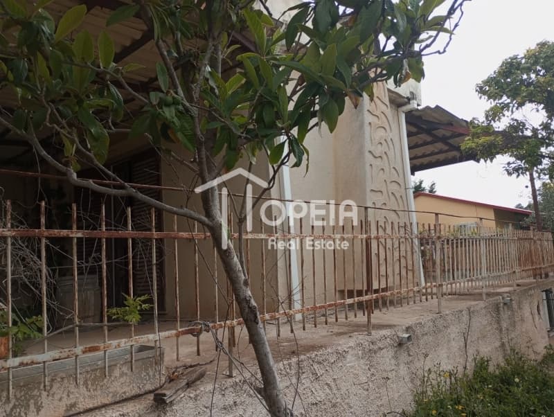 House in Lofos Kselaftaki, Kalivia Thorikou — Photo 5 of 5