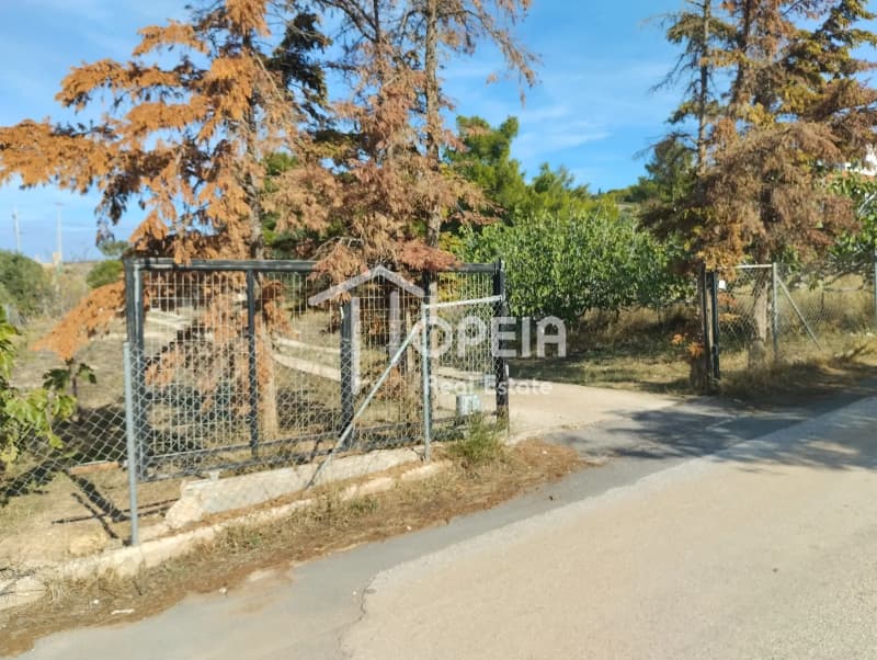Μονοκατοικία στην Αγία Μαρίνα, Κορωπί — Φωτογραφία 6 από 6