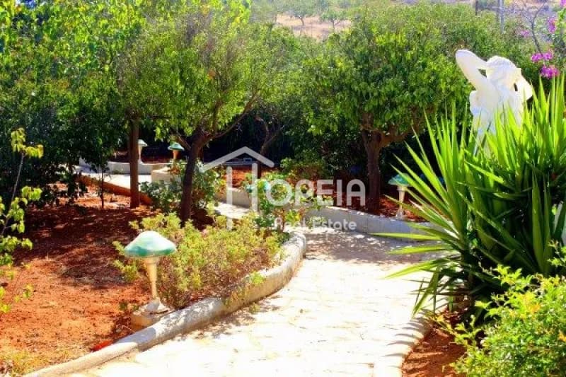 House in Agia Marina, Koropi — Photo 3 of 8