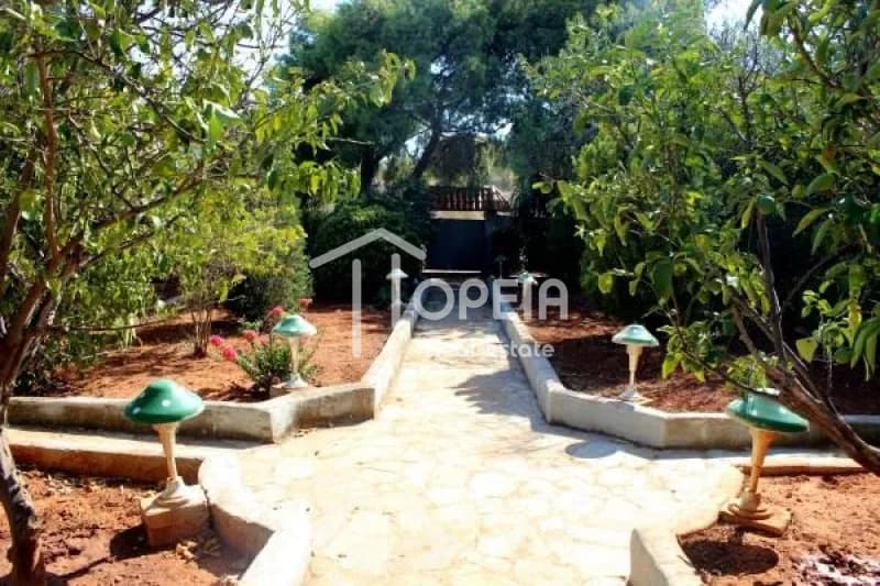 House in Agia Marina, Koropi — Photo 8 of 8