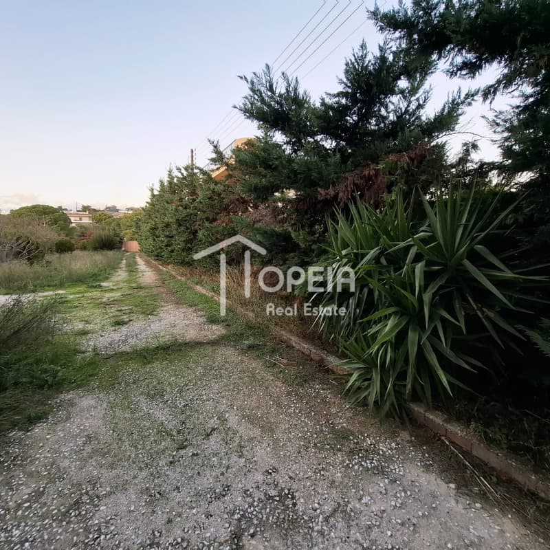 Διαμέρισμα στην Γαλήνη, Βάρη - Βάρκιζα — Φωτογραφία 14 από 20