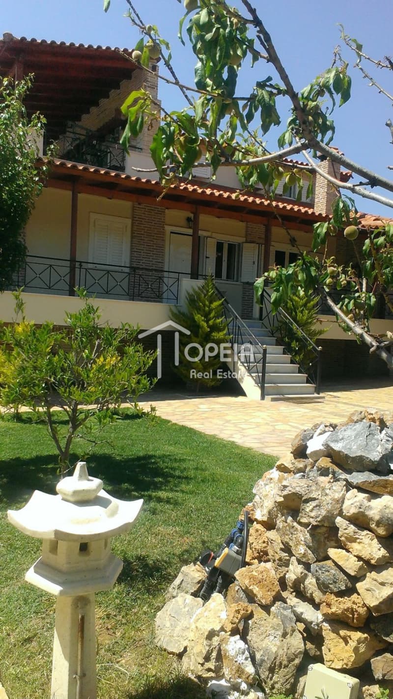 House in Kalivia, Kalivia Thorikou — Photo 2 of 7