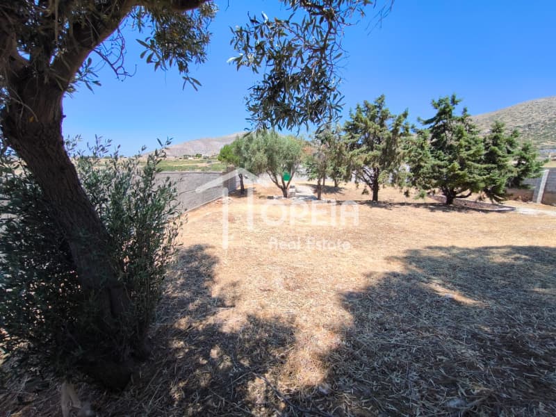 Μονοκατοικία στην Φέριζα, Ανάβυσσος — Φωτογραφία 13 από 30