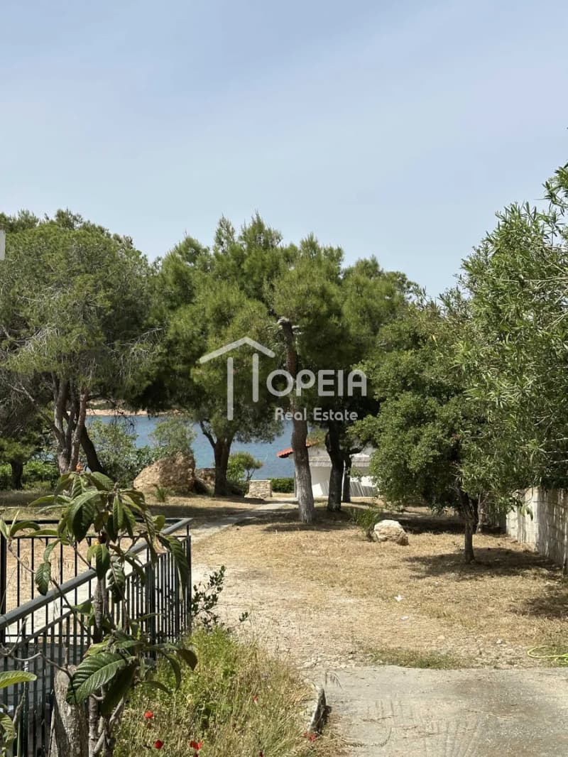 Μονοκατοικία στην Κακιά Θάλασσα, Κερατέα — Φωτογραφία 4 από 4