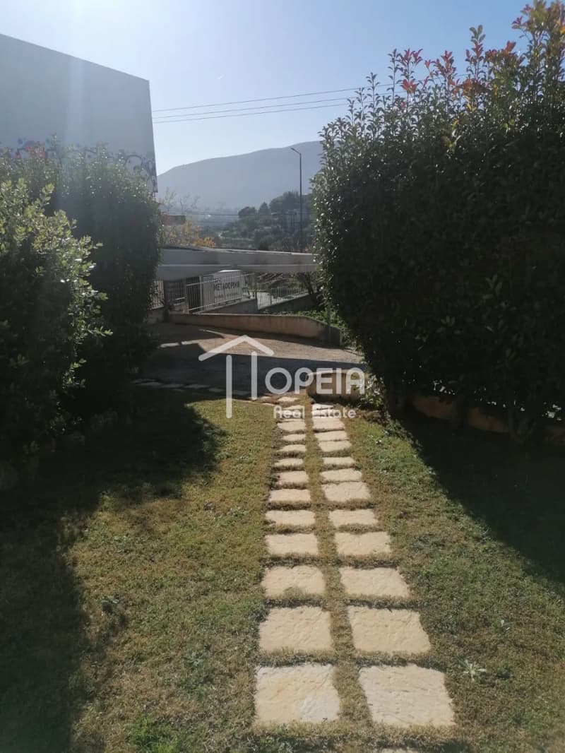 House in Agia Triada, Markopoulo — Photo 10 of 11