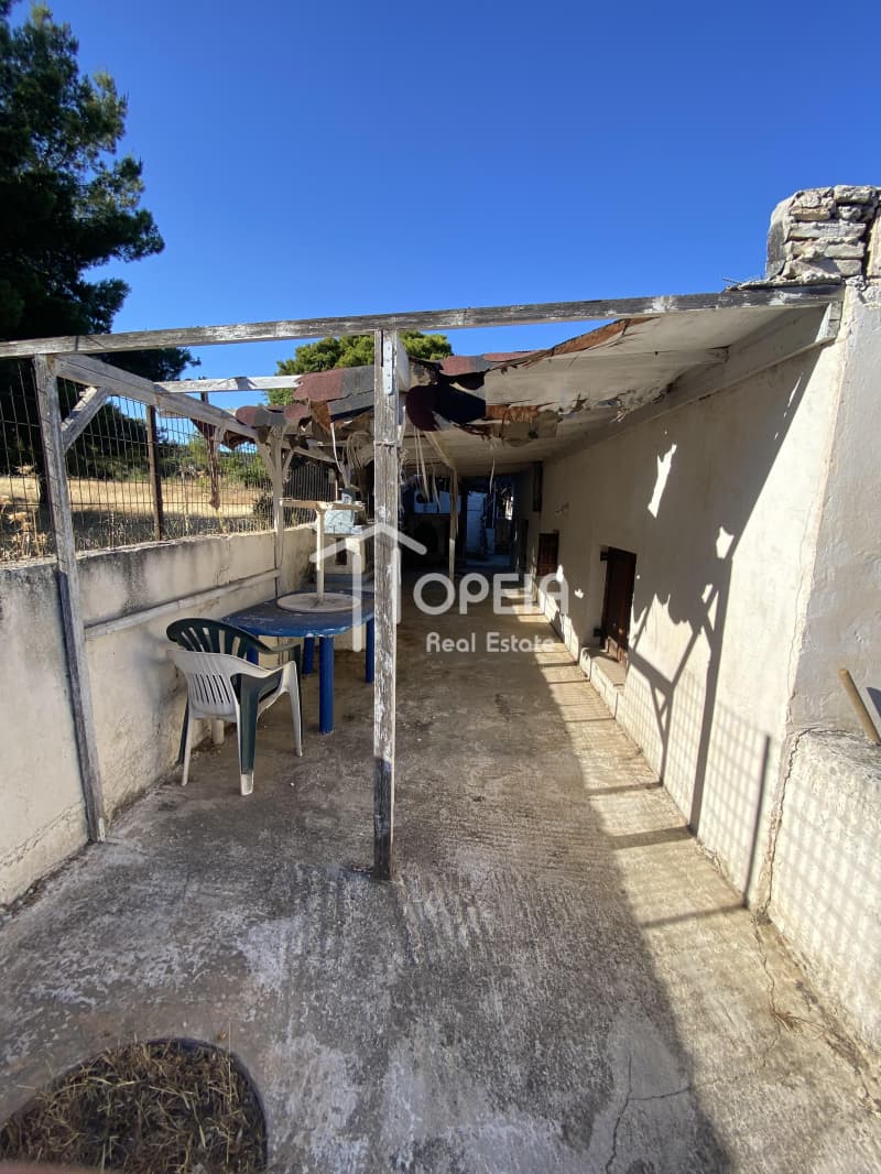 House in Porto Rafti, Vravrona — Photo 3 of 8