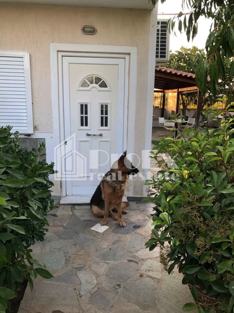 Μονοκατοικία στην Νεάπολη, Σπάτα — Φωτογραφία 5 από 20