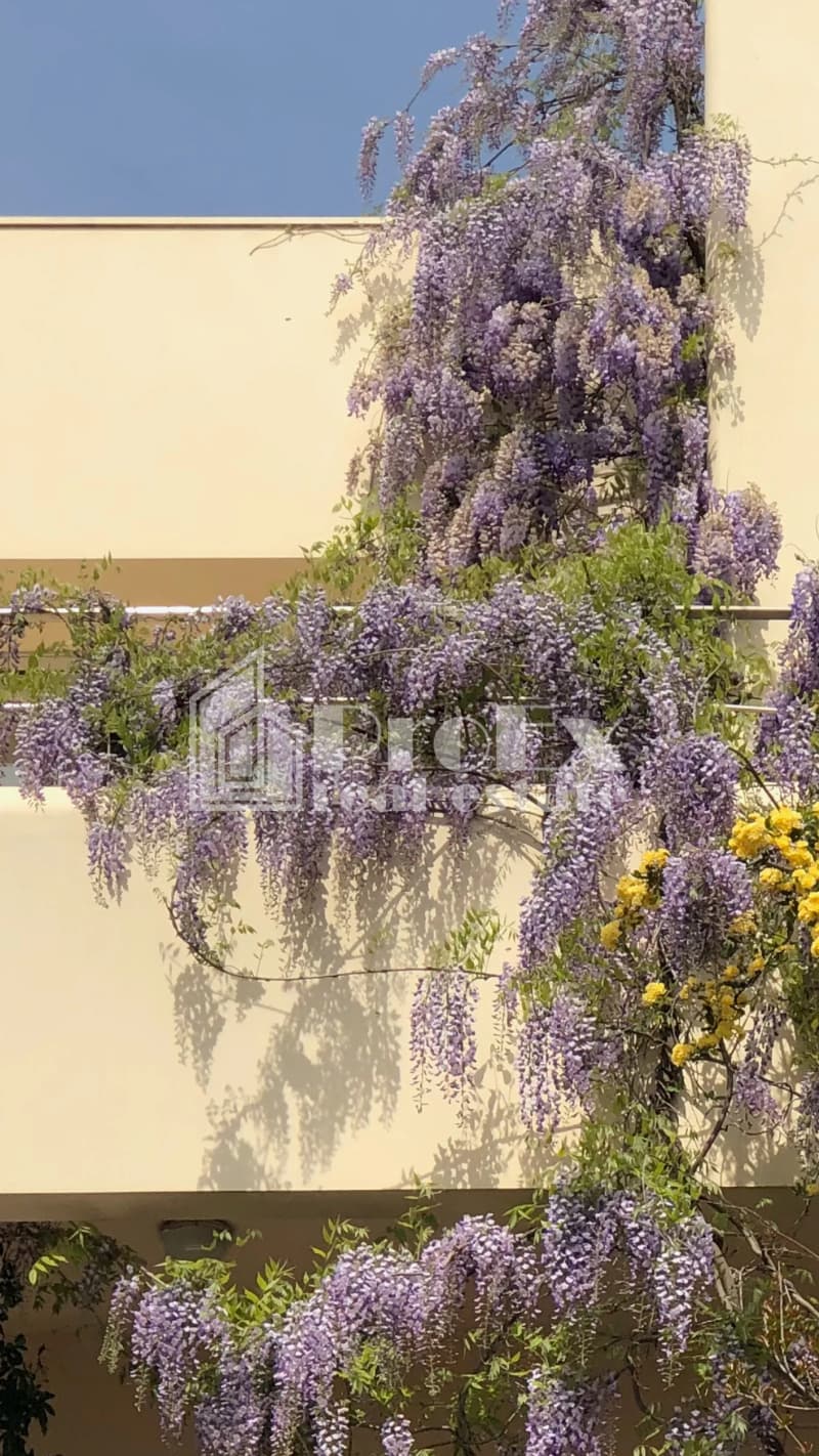 Apartment in Politeia, Nea Erithraia — Photo 4 of 9