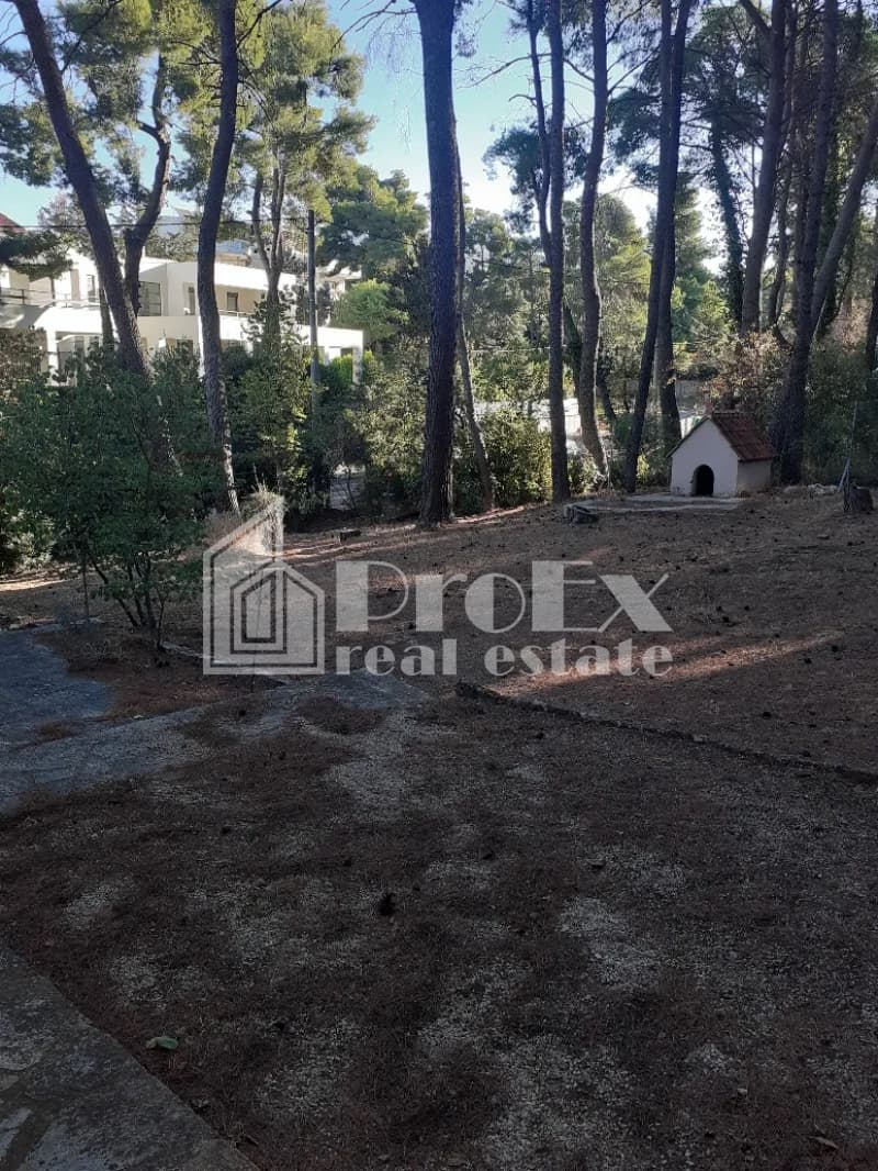 House in Agioi Aggeloi, Anoixi — Photo 13 of 13