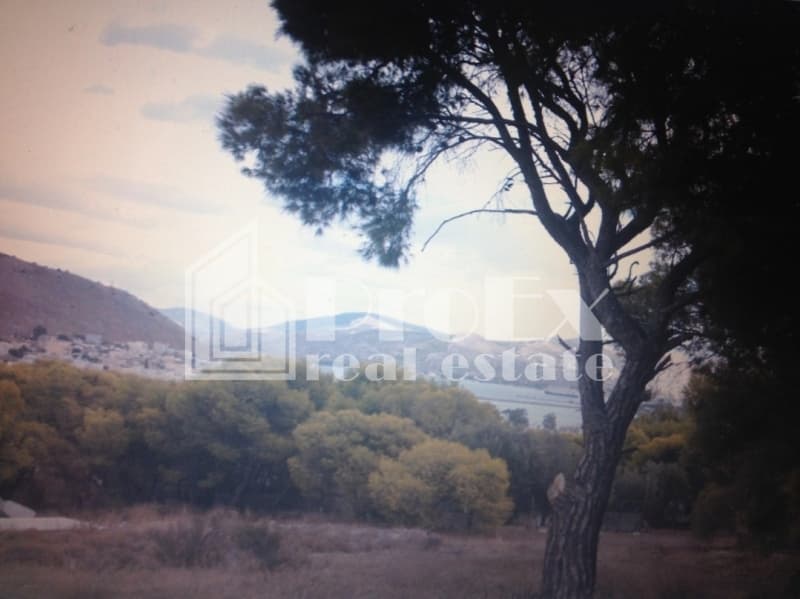 Parcel in Paloukia, Abelakia — Photo 3 of 3