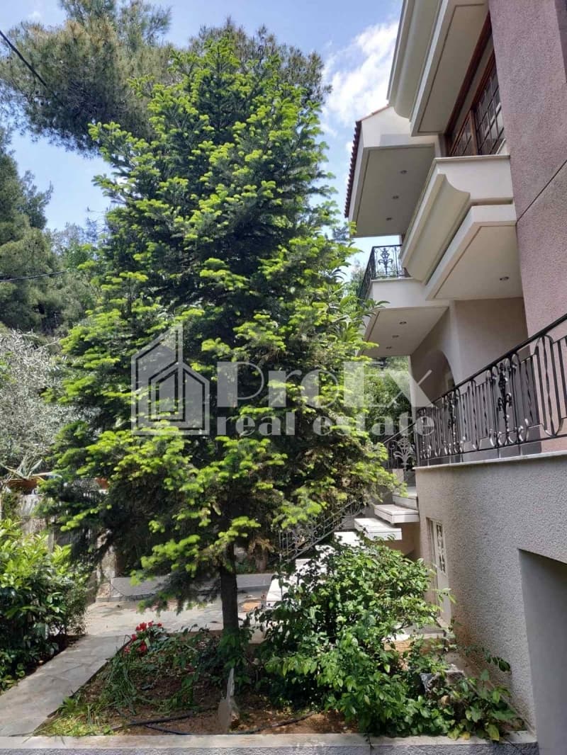 Μονοκατοικία στην Δροσιά, Δροσιά — Φωτογραφία 6 από 15