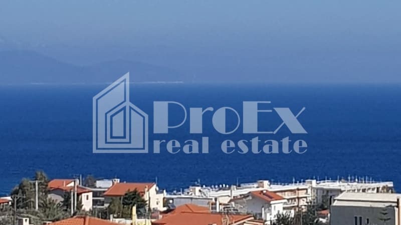 Μονοκατοικία στην Βορινέζα, Αρτέμιδα (Λούτσα) — Φωτογραφία 2 από 3