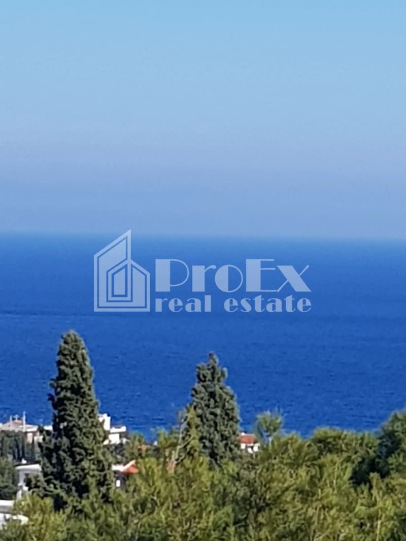 Μονοκατοικία στην Βορινέζα, Αρτέμιδα (Λούτσα) — Φωτογραφία 3 από 3