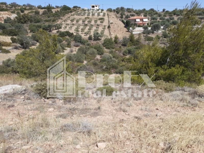 Οικόπεδο στην Γραμματικό - Κέντρο, Γραμματικό — Φωτογραφία 4 από 6