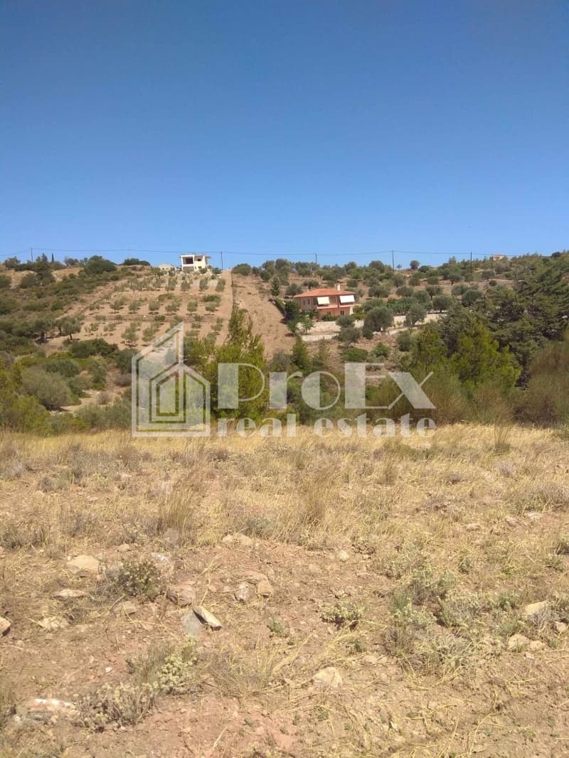 Οικόπεδο στην Γραμματικό - Κέντρο, Γραμματικό — Φωτογραφία 5 από 6