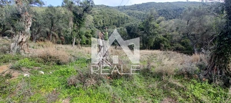 Building Plot in Faiakes, Corfu — Photo 5 of 8
