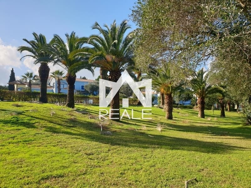 House in Pareli, Corfu — Photo 16 of 21