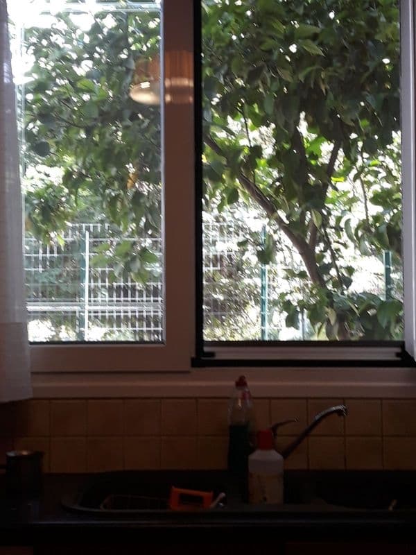 House in Palatiani, Ilion — Photo 2 of 15