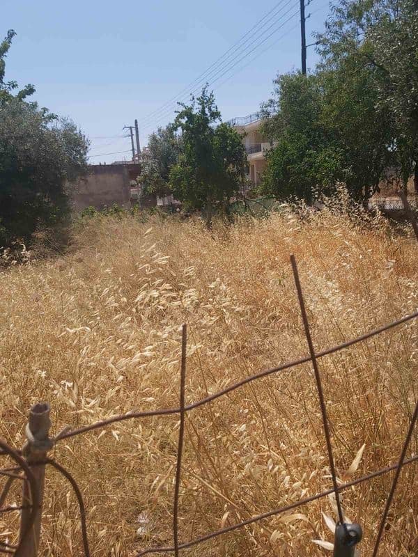 Building Plot in Nea Charavgi, Kamatero — Photo 2 of 5