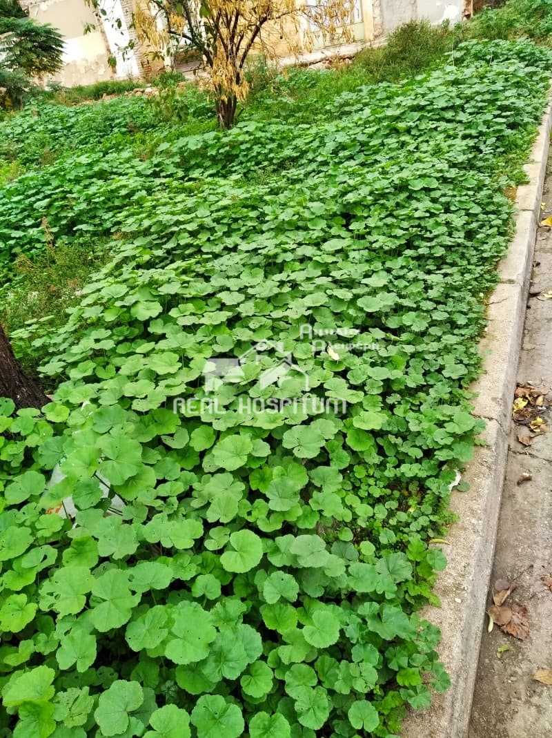 Building Plot in Center, Petroupoli — Photo 3 of 3