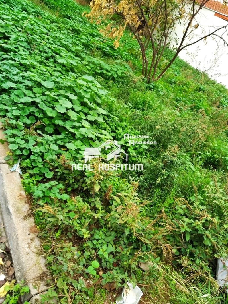 Building Plot in Palatiani, Ilion