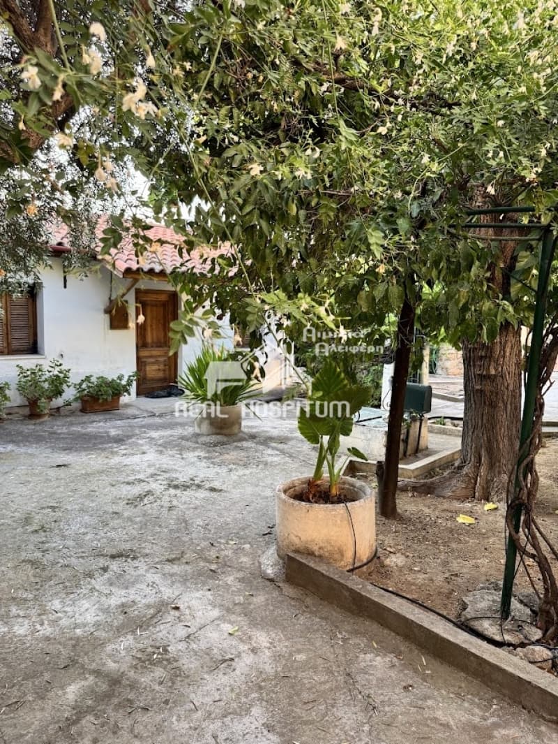 Μονοκατοικία στην Κιάτο, Σικυώνα — Φωτογραφία 30 από 30