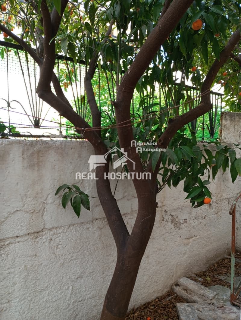 House in Palatiani, Ilion — Photo 1 of 2