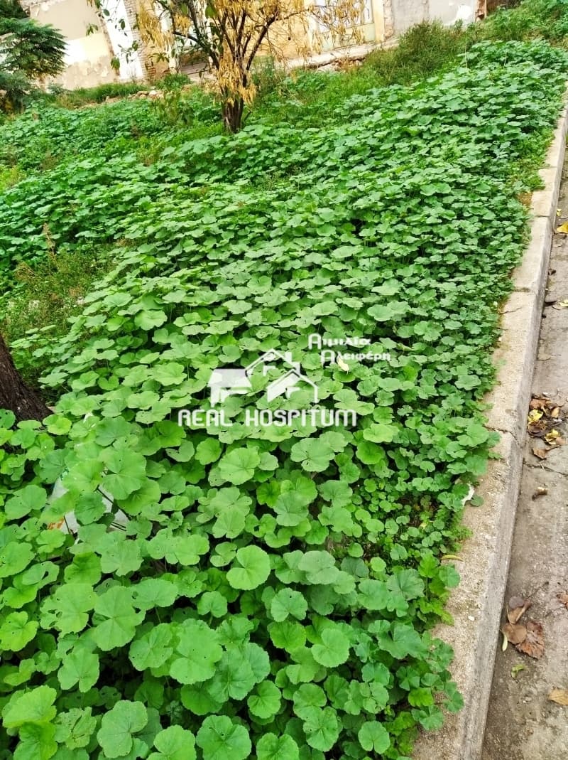 Building Plot in Agios Nikolaos, Ilion